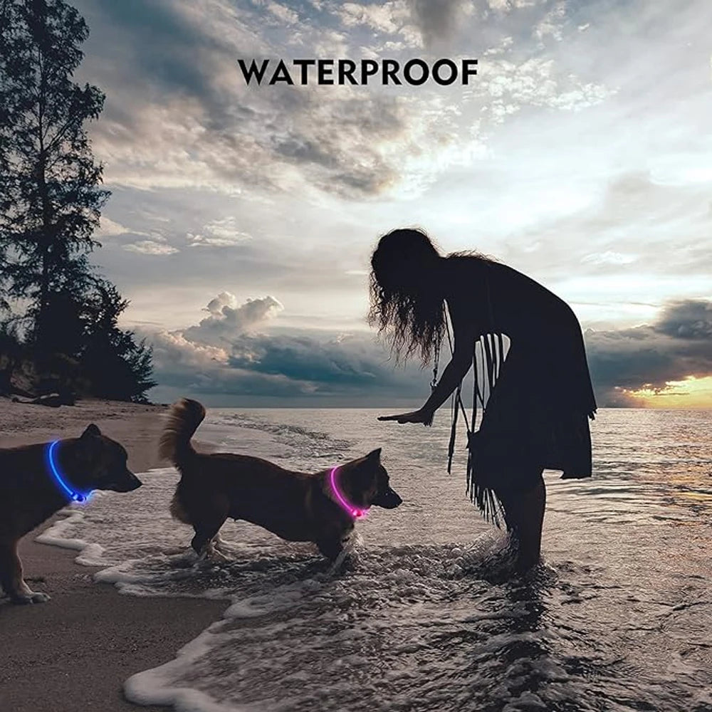 Usb uppladdningsbart halsband till hund!