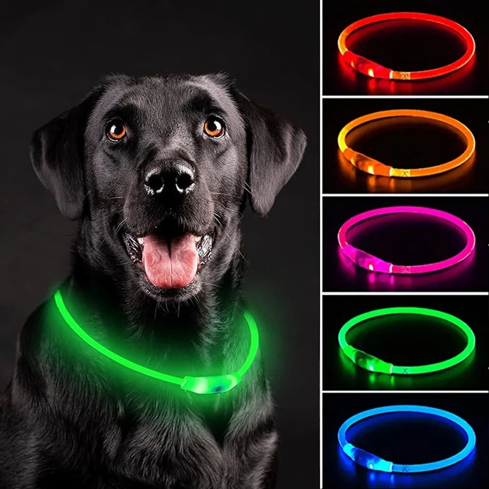 Usb uppladdningsbart halsband till hund!