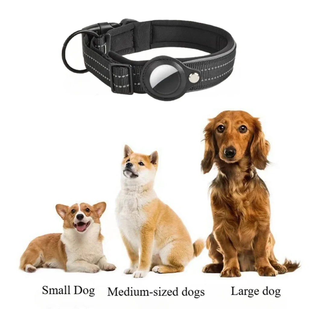 Hundhalsband med möjlighet för airtag!