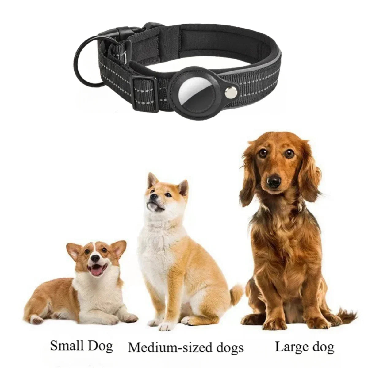 Hundhalsband med möjlighet för airtag!