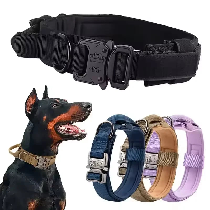 Robust, smidigt och enkelt halsband till din hund!