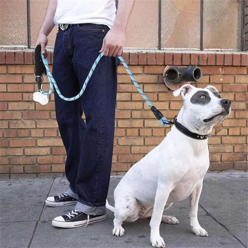 Superbekvämt hundkoppel med reflexer samt ett skönt handtag till din hund!