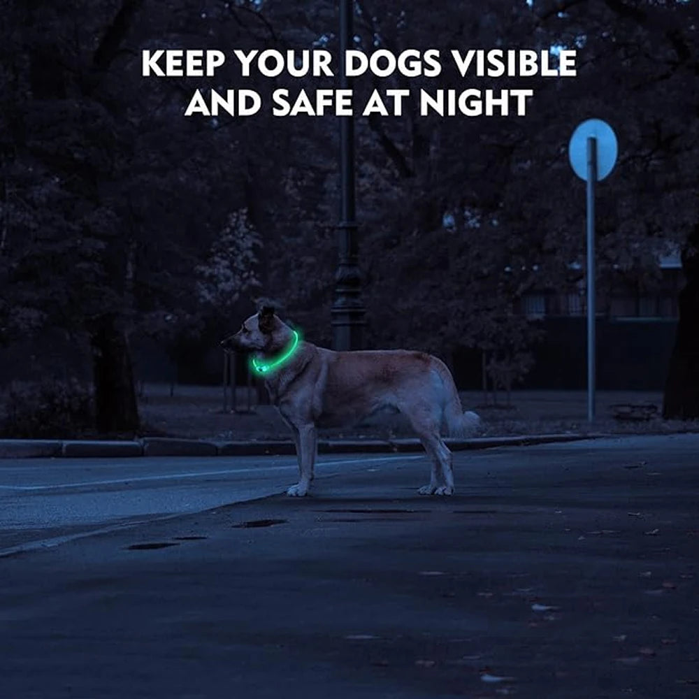 Usb uppladdningsbart halsband till hund!