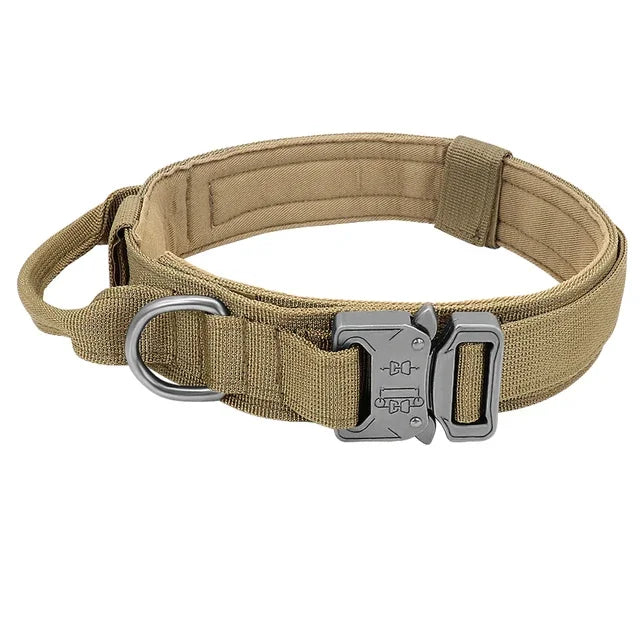 Robust, smidigt och enkelt halsband till din hund!
