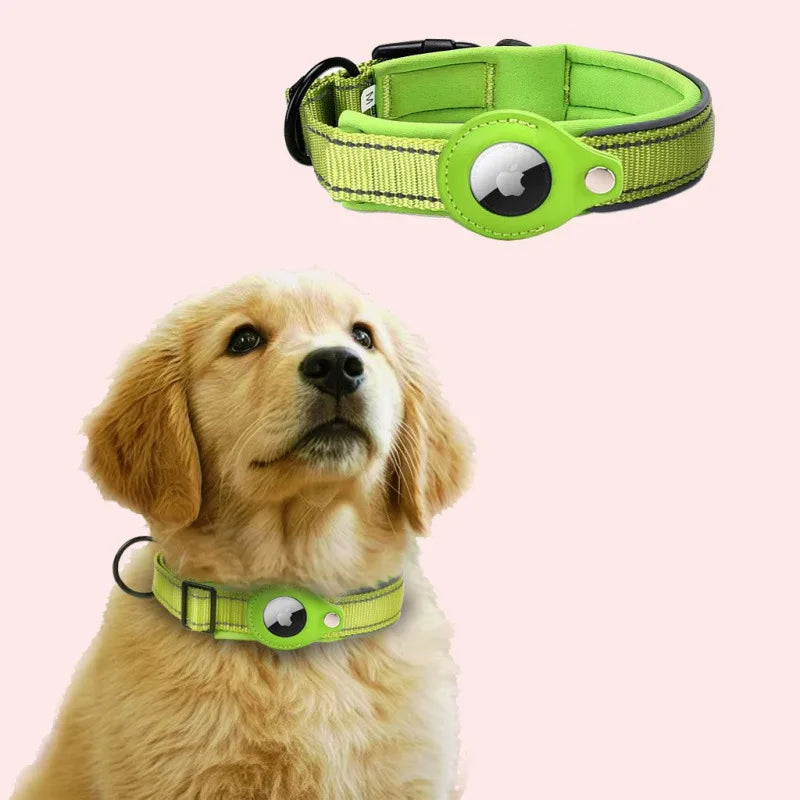 Hundhalsband med möjlighet för airtag!