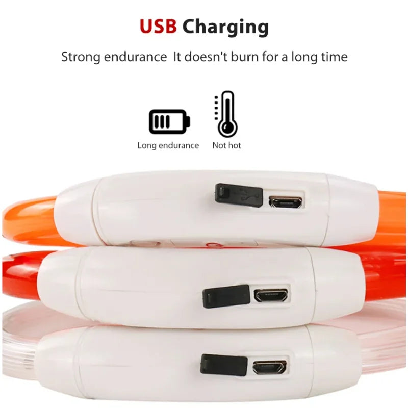 Usb uppladdningsbart halsband till hund!