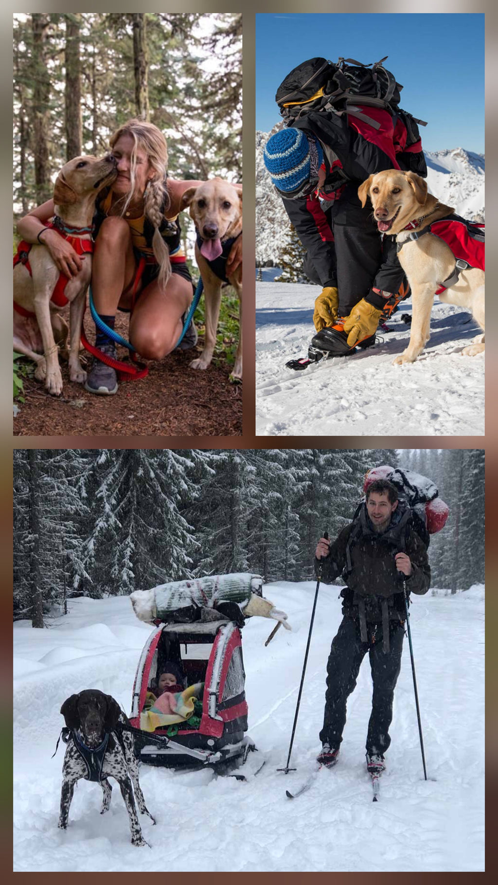 BeiYu Ny framtagna  Hundsele till din bästa vän på 4 ben!
